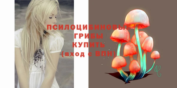 не бодяженный Алзамай