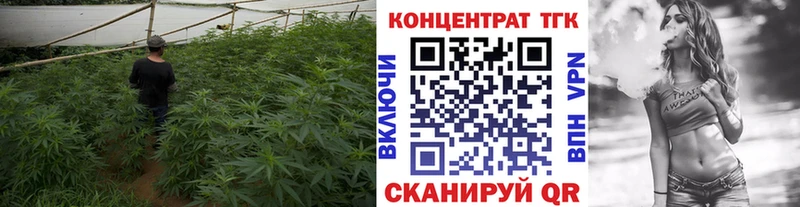 Дистиллят ТГК вейп  omg сайт  Боготол 
