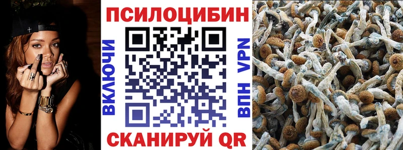 Псилоцибиновые грибы прущие грибы  МЕГА вход  Боготол 